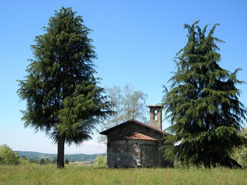 Oratorio di San Vincenzo - Sesto Calende